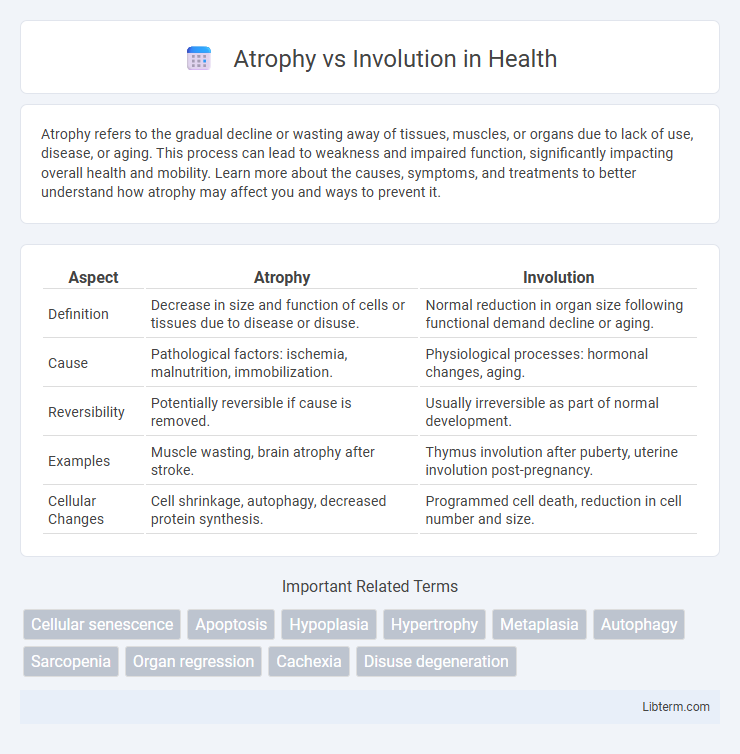 Involution vs Atrophy in Health - What is The Difference?