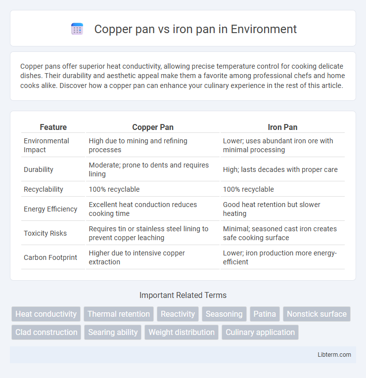 iron pan vs Copper pan in Environment - What is The Difference?
