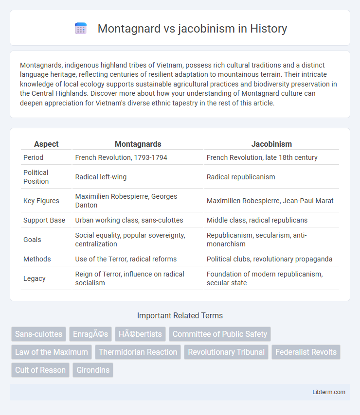 jacobinism vs Montagnard in History - What is The Difference?