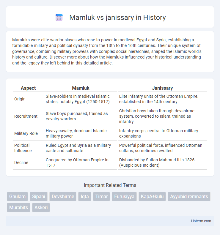 janissary vs Mamluk in History - What is The Difference?
