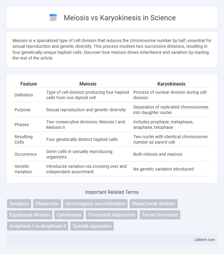 Karyokinesis vs Meiosis in Science - What is The Difference?