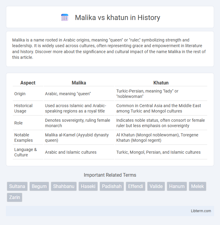 khatun vs Malika in History - What is The Difference?