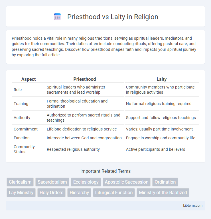 Laity vs Priesthood in Religion - What is The Difference?