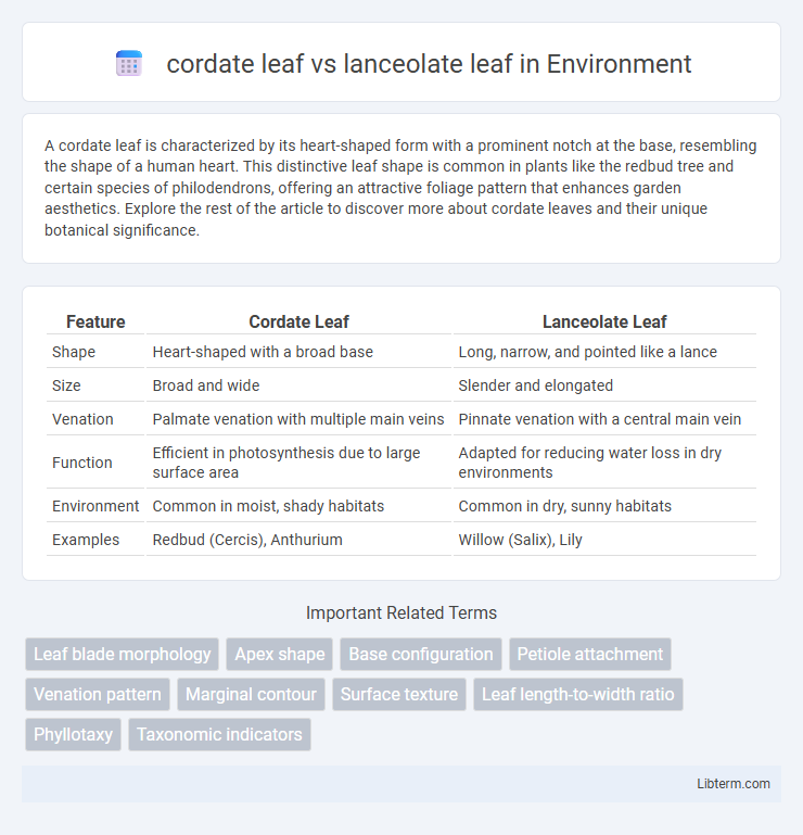 lanceolate leaf vs cordate leaf in Environment - What is The Difference?
