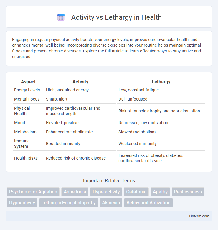 Lethargy vs Activity in Health - What is The Difference?
