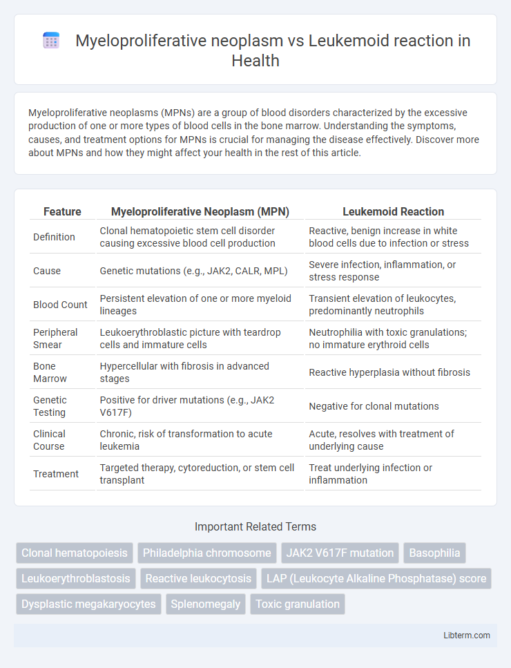 Leukemoid reaction vs Myeloproliferative neoplasm in Health - What is The Difference?