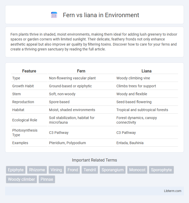 liana vs Fern in Environment - What is The Difference?