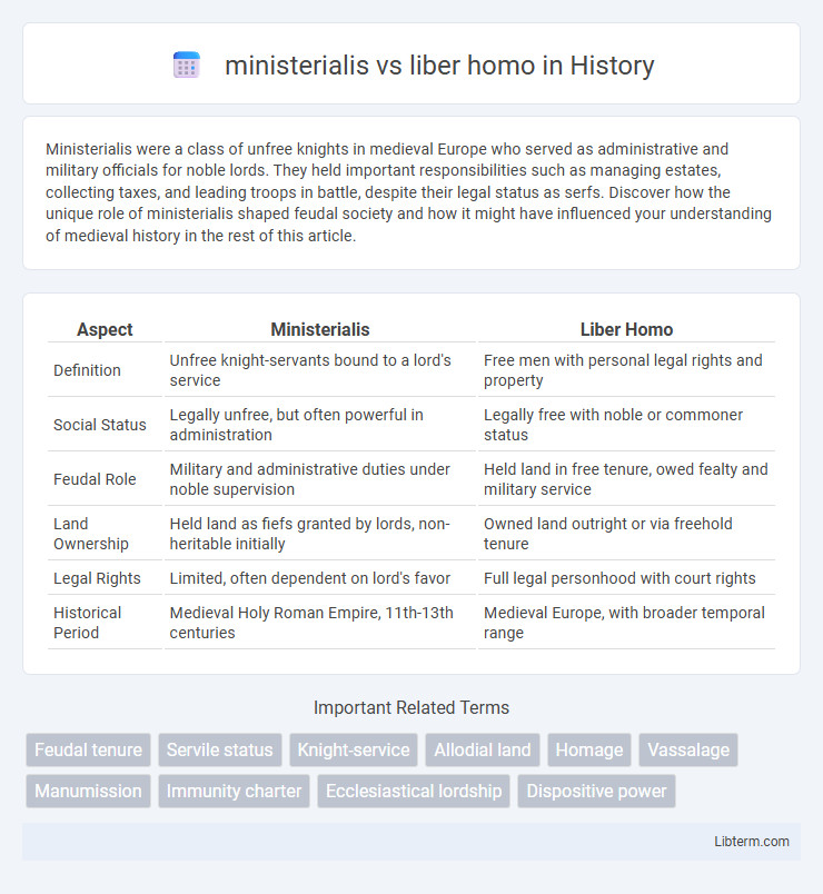 liber homo vs ministerialis in History - What is The Difference?