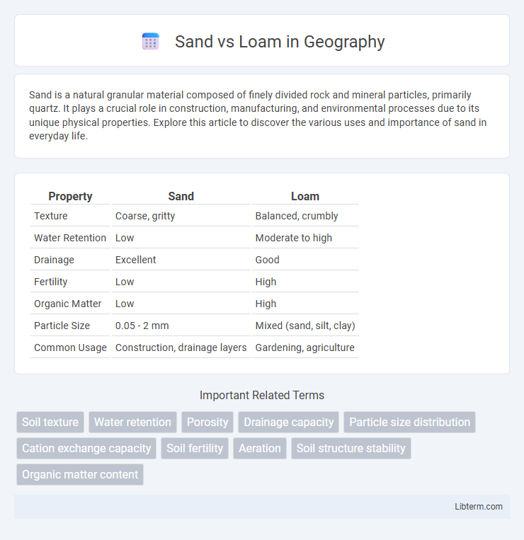 Loam vs Sand in Geography - What is The Difference?