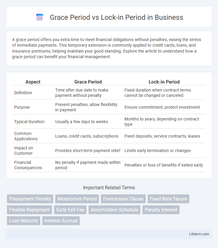 Lock-in Period vs Grace Period in Business - What is The Difference?