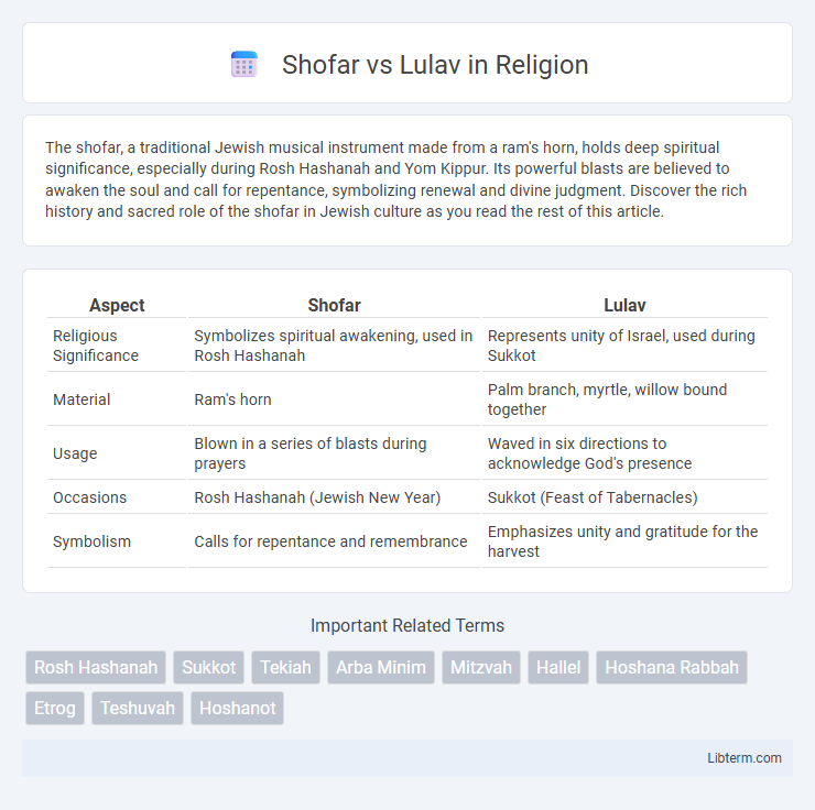Lulav vs Shofar in Religion - What is The Difference?