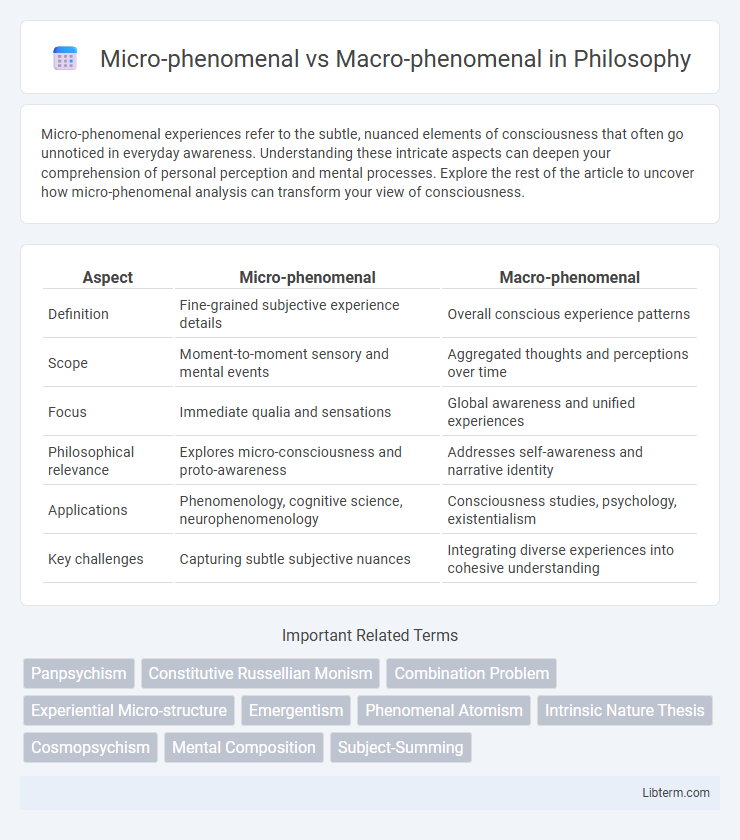 Macro-phenomenal vs Micro-phenomenal in Philosophy - What is The Difference?