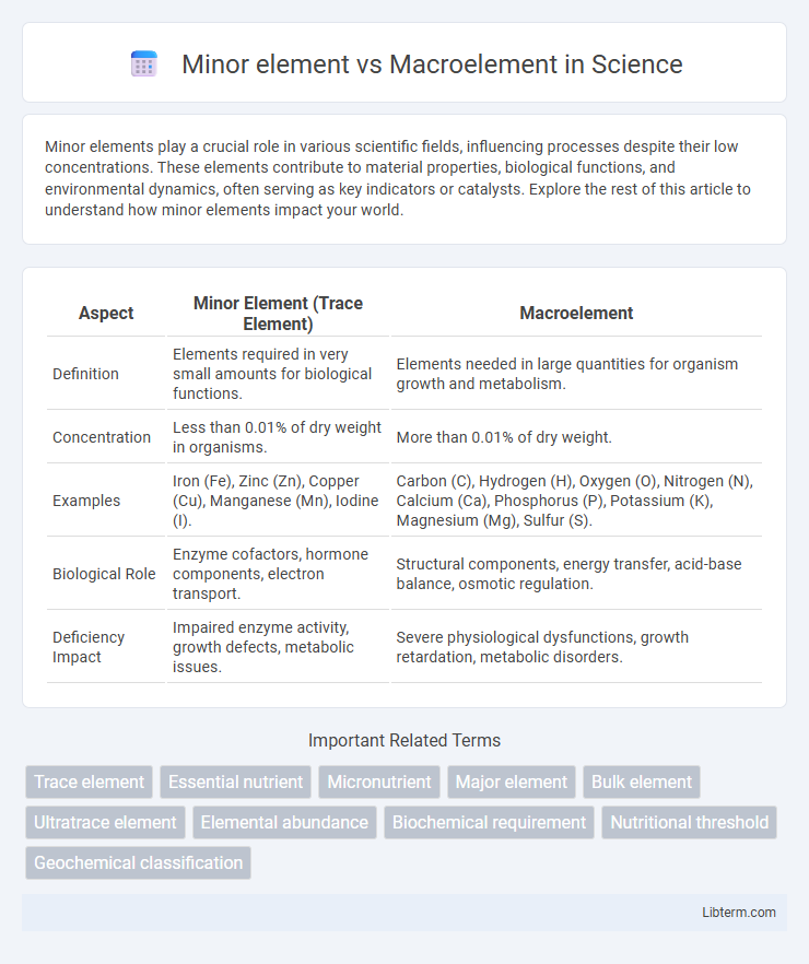 Macroelement vs Minor element in Science - What is The Difference?