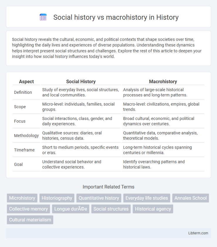 macrohistory vs Social history in History - What is The Difference?