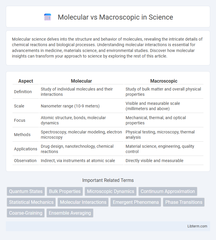 Macroscopic vs Molecular in Science - What is The Difference?