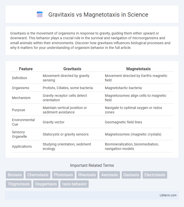 Magnetotaxis vs Gravitaxis in Science - What is The Difference?