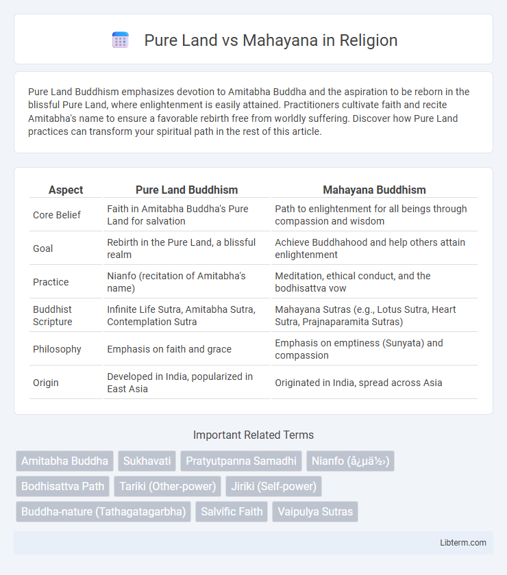 Mahayana vs Pure Land in Religion - What is The Difference?