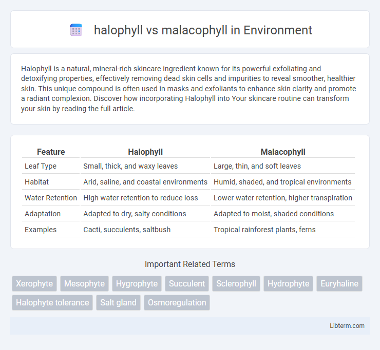 malacophyll vs halophyll in Environment - What is The Difference?