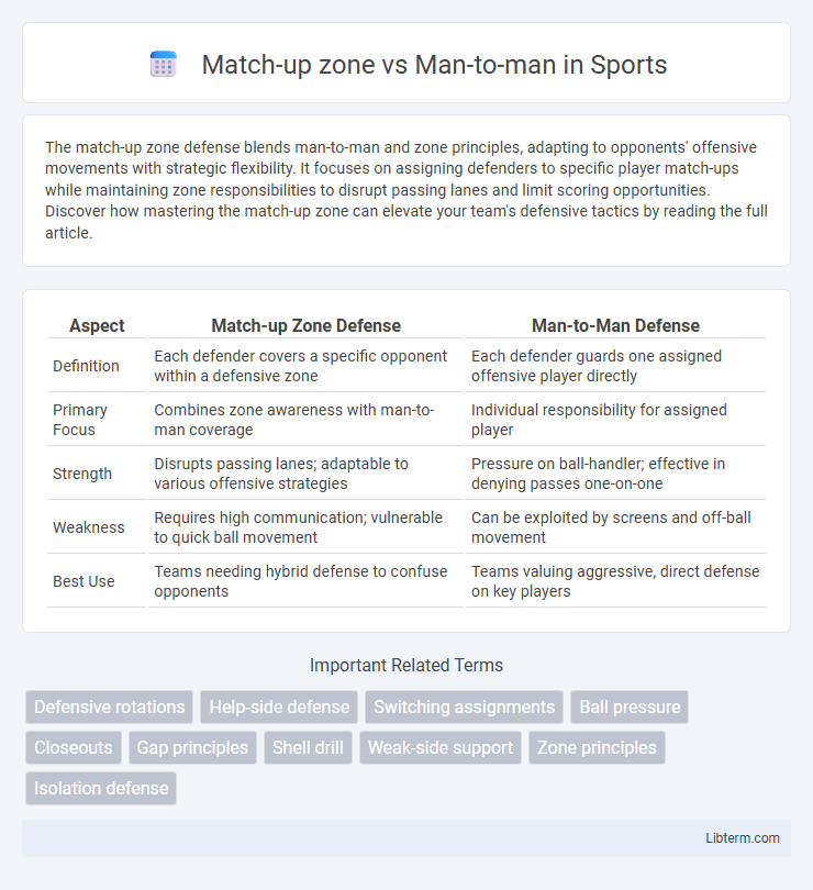 Man-to-man vs Match-up zone in Sports - What is The Difference?