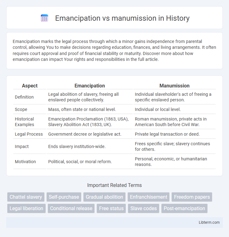 manumission vs Emancipation in History - What is The Difference?