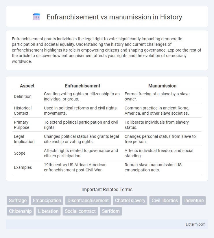 manumission vs Enfranchisement in History - What is The Difference?