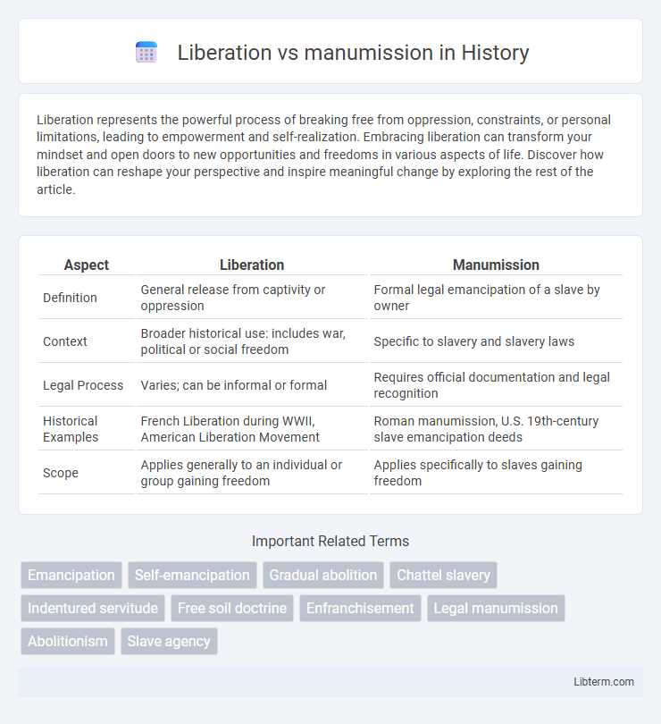 manumission vs Liberation in History - What is The Difference?