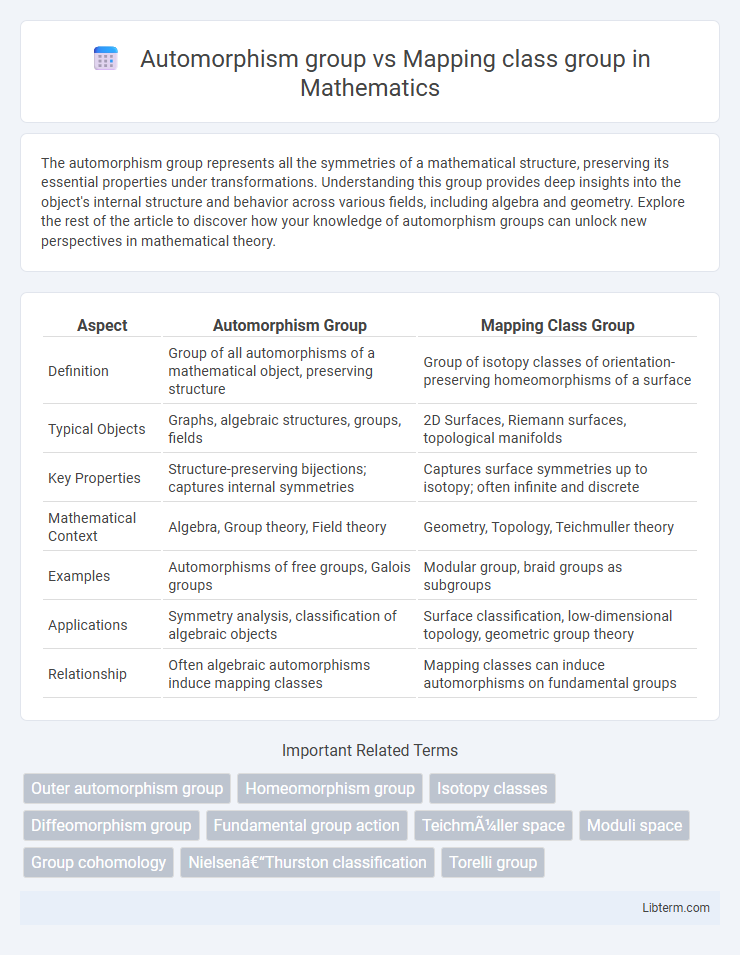 Mapping class group vs Automorphism group in Mathematics - What is The Difference?
