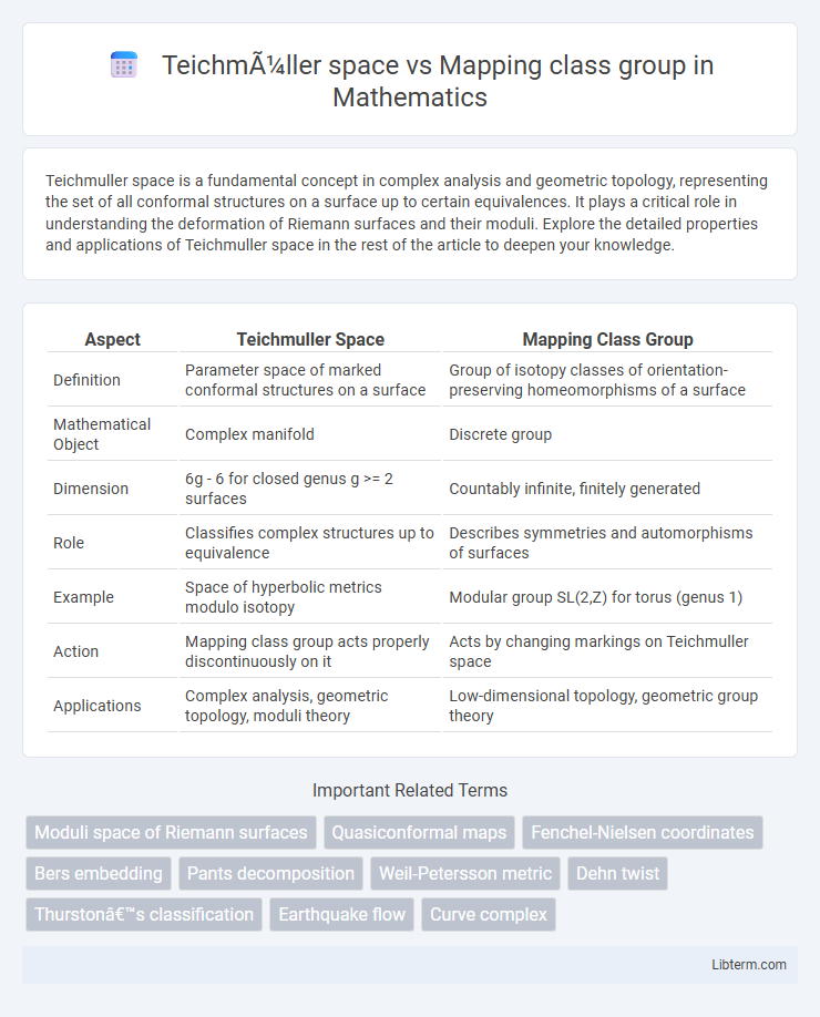 Mapping class group vs Teichmüller space in Mathematics - What is The Difference?
