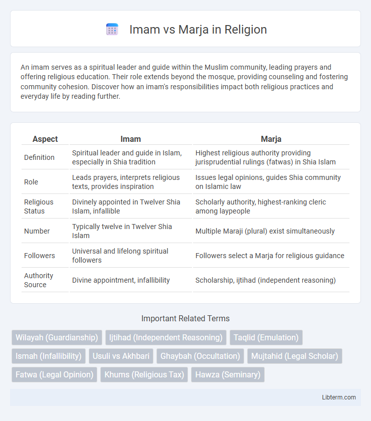 Marja vs Imam in Religion - What is The Difference?