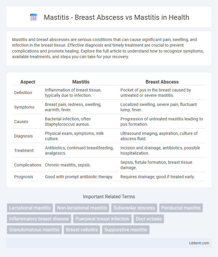 Mastitis vs Mastitis - Breast Abscess in Health - What is The Difference?