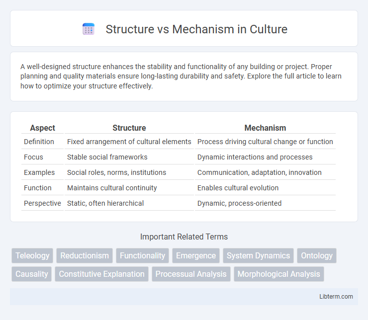 Mechanism vs Structure in Culture - What is The Difference?