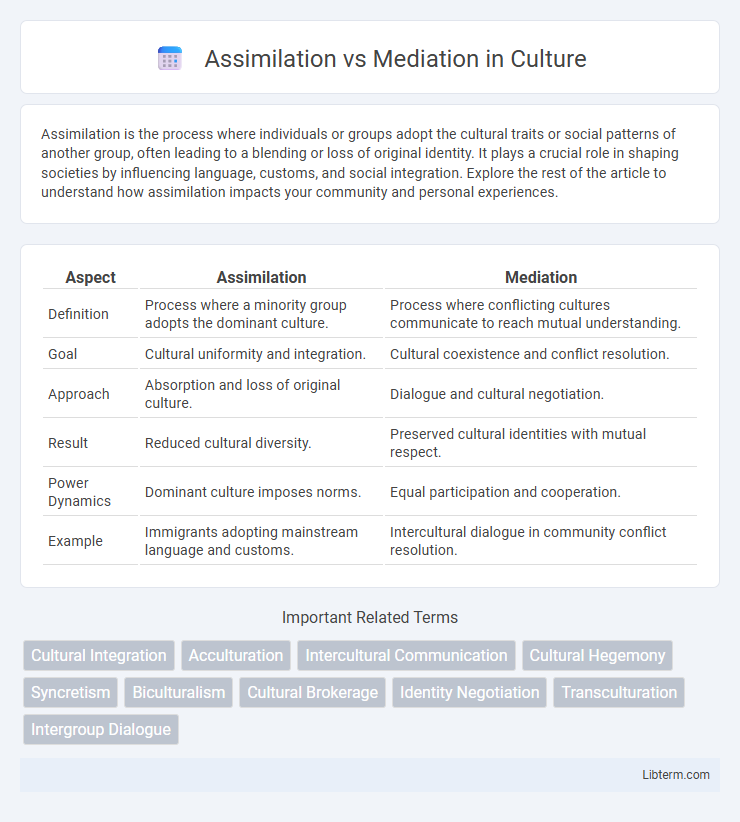 Mediation vs Assimilation in Culture - What is The Difference?