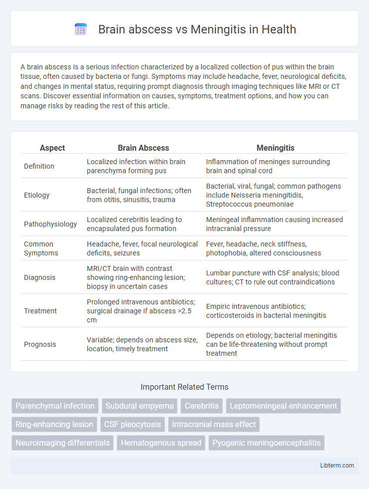 Meningitis vs Brain abscess in Health - What is The Difference?