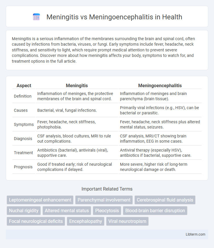 Meningoencephalitis vs Meningitis in Health - What is The Difference?