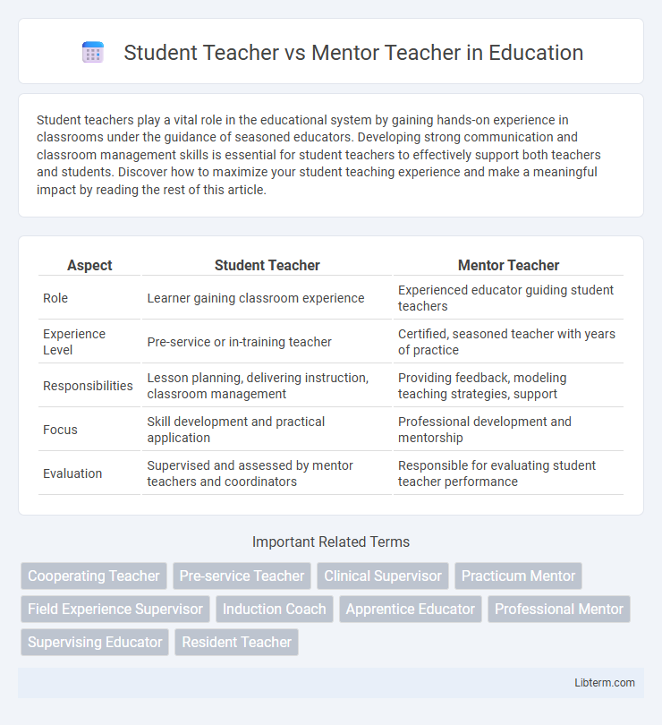 Mentor Teacher vs Student Teacher in Education - What is The Difference?