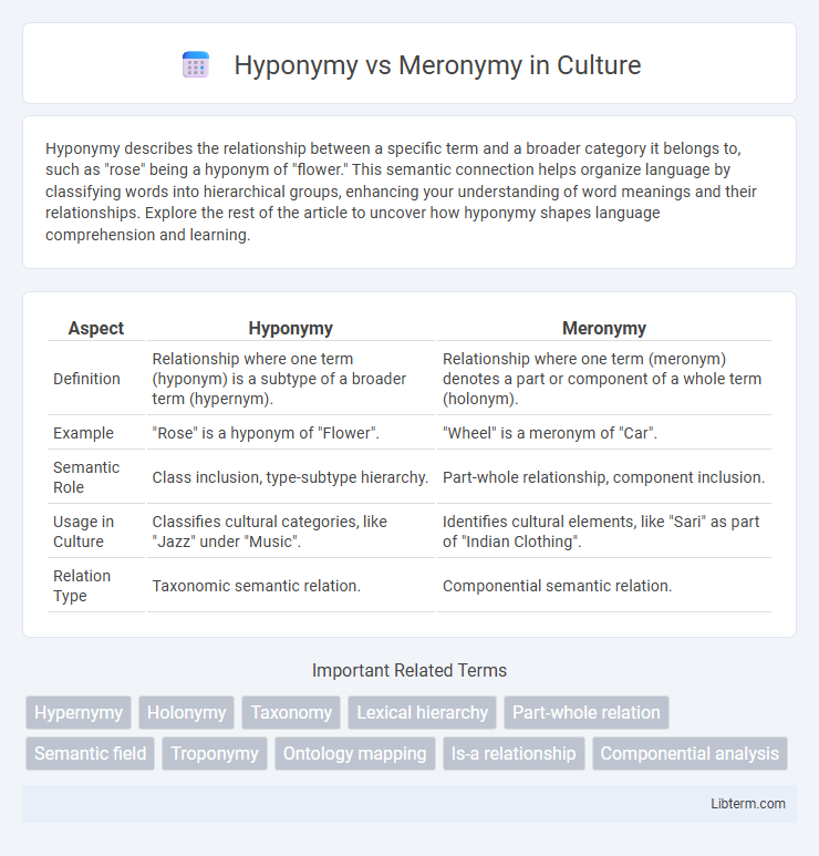 Meronymy vs Hyponymy in Culture - What is The Difference?