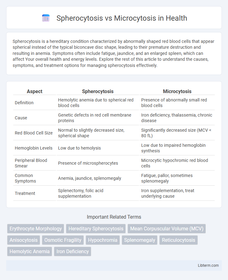 Microcytosis vs Spherocytosis in Health - What is The Difference?