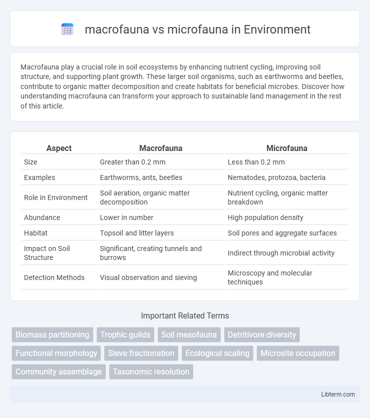 microfauna vs macrofauna in Environment - What is The Difference?