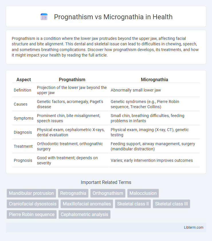 Micrognathia vs Prognathism in Health - What is The Difference?