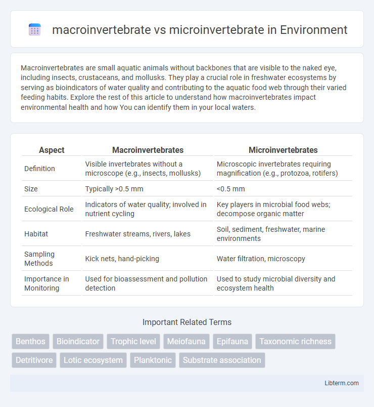 microinvertebrate vs macroinvertebrate in Environment - What is The Difference?