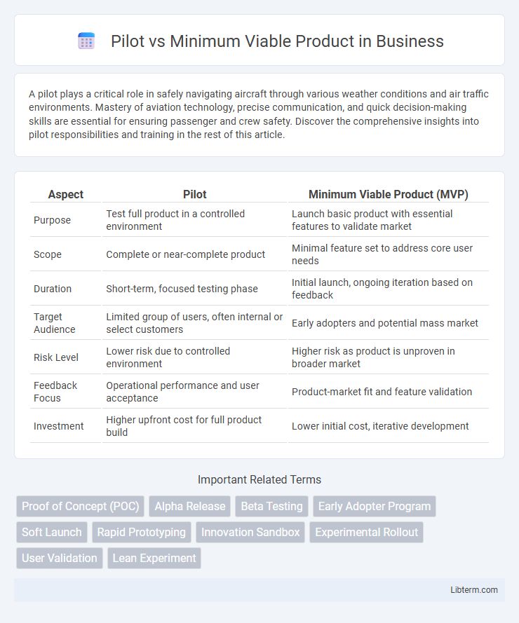 Minimum Viable Product vs Pilot in Business - What is The Difference?