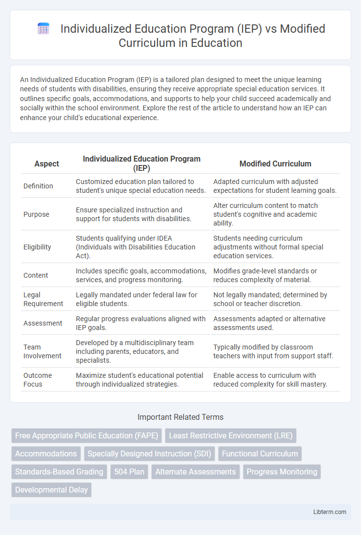 Modified Curriculum vs Individualized Education Program (IEP) in Education - What is The Difference?