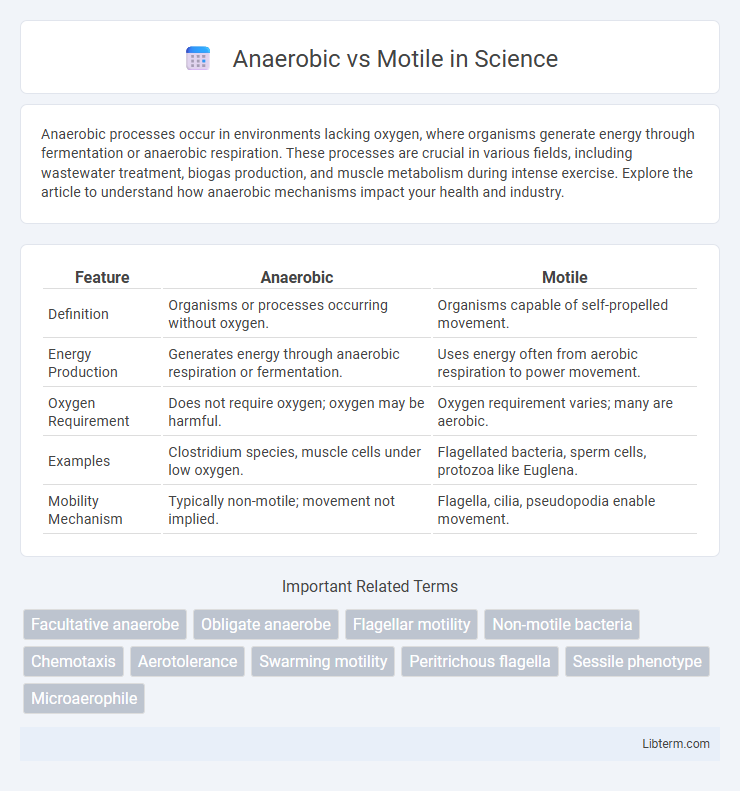 Motile vs Anaerobic in Science - What is The Difference?