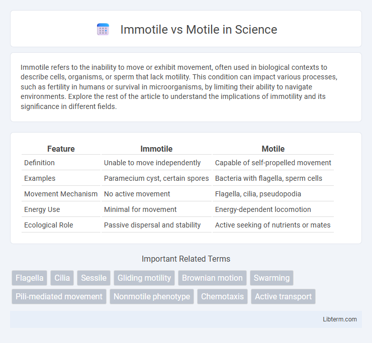Motile vs Immotile in Science - What is The Difference?