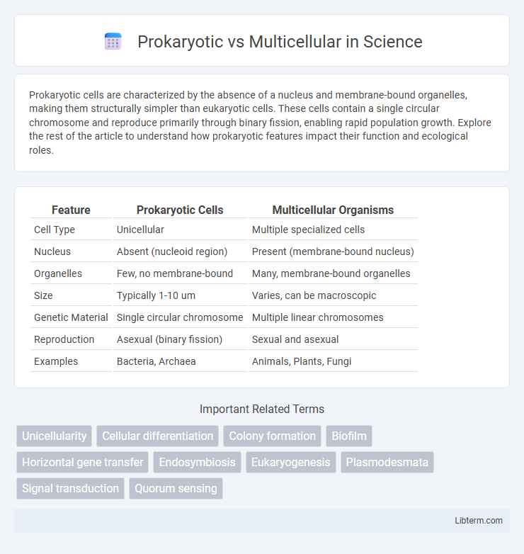 Multicellular vs Prokaryotic in Science - What is The Difference?