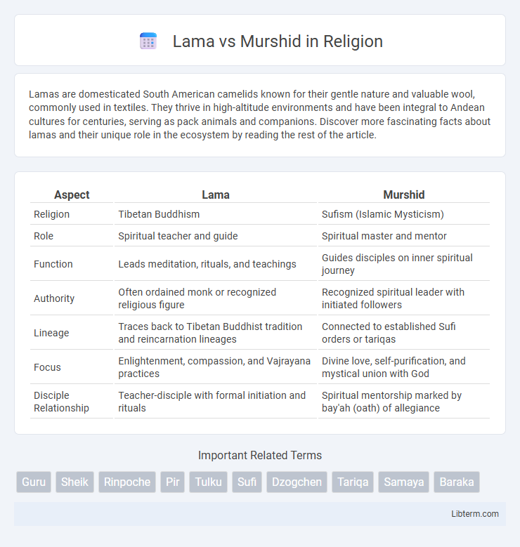 Murshid vs Lama in Religion - What is The Difference?
