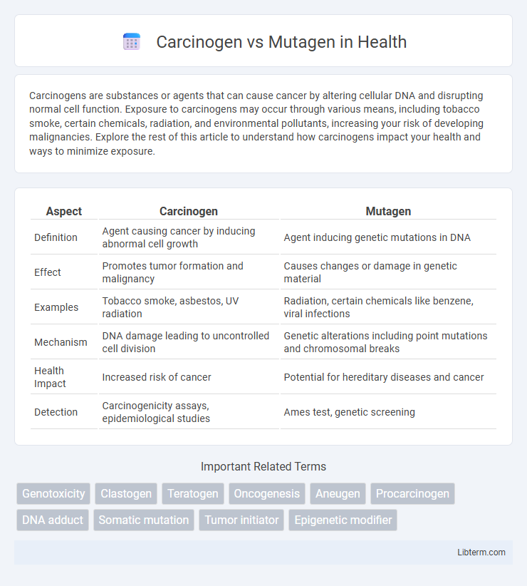 Mutagen vs Carcinogen in Health - What is The Difference?