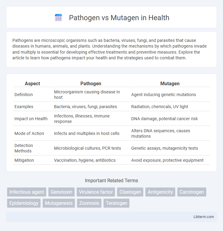Mutagen vs Pathogen in Health - What is The Difference?