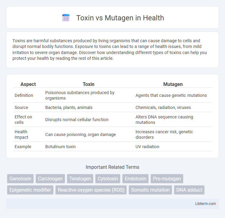 Mutagen vs Toxin in Health - What is The Difference?