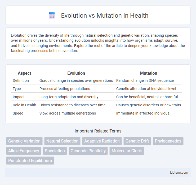 Mutation vs Evolution in Health - What is The Difference?